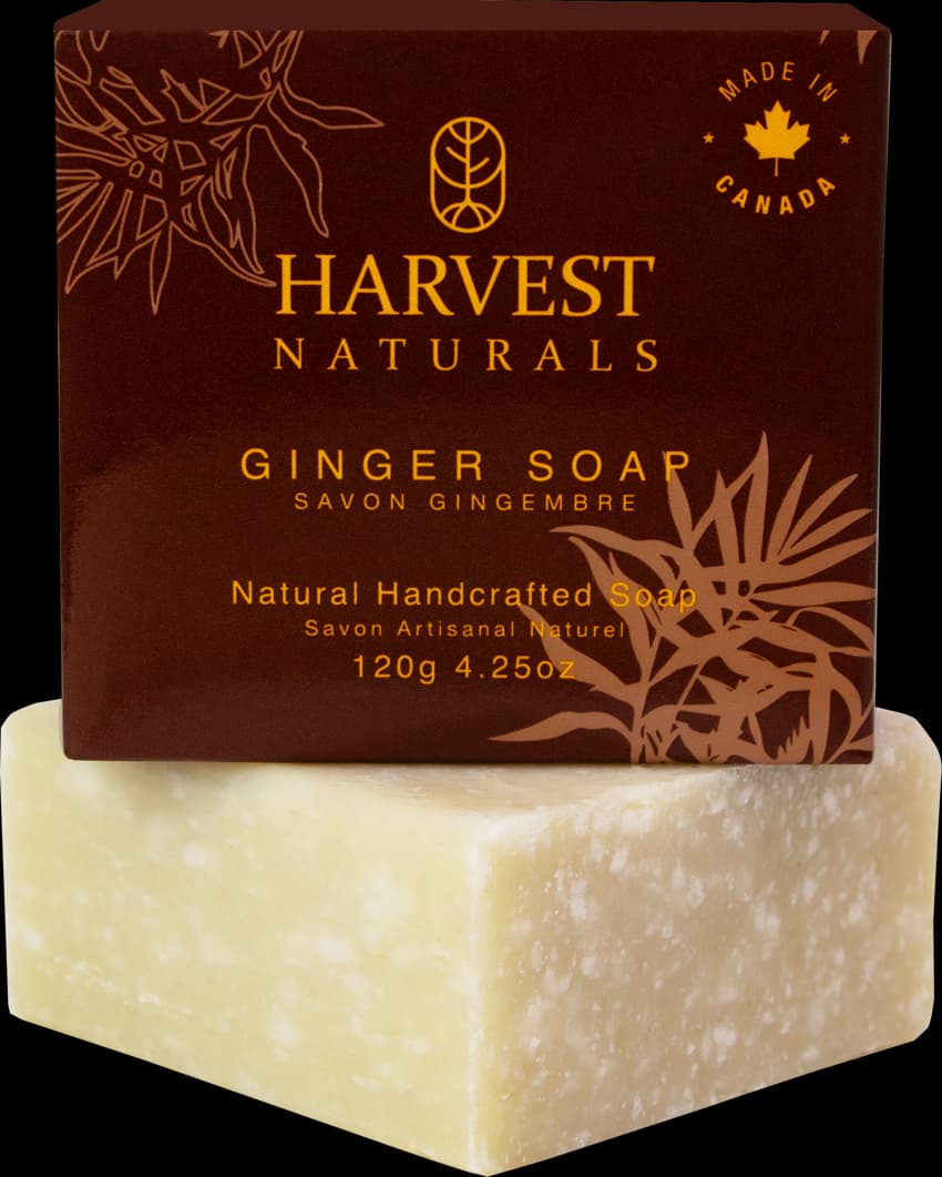ginger soap
